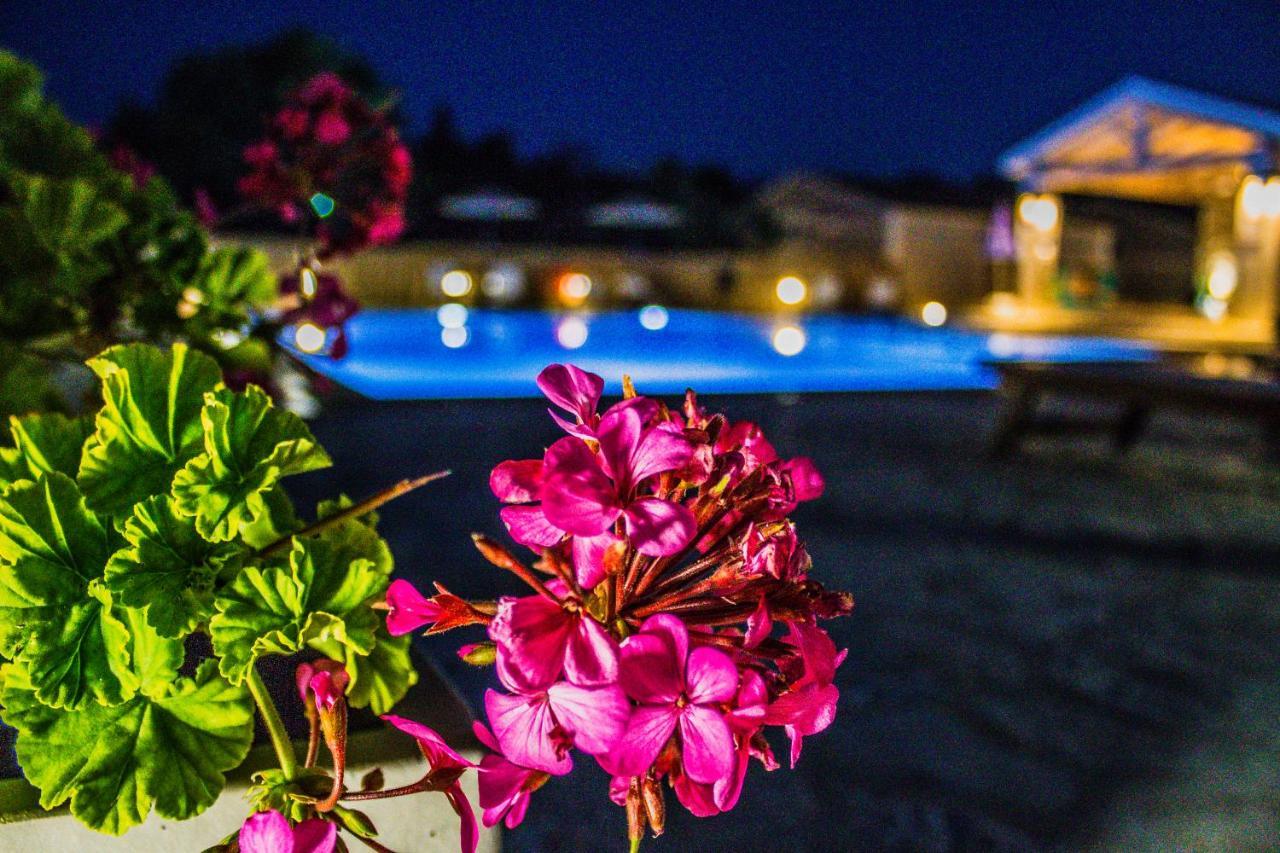 Astrakeroula Corfu Διαμέρισμα Αστρακερή Εξωτερικό φωτογραφία